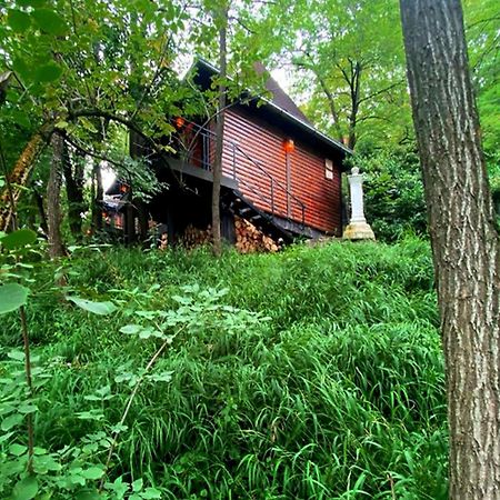 Апартаменты Oaza Prirode, Brvnare Platan Врдник Экстерьер фото